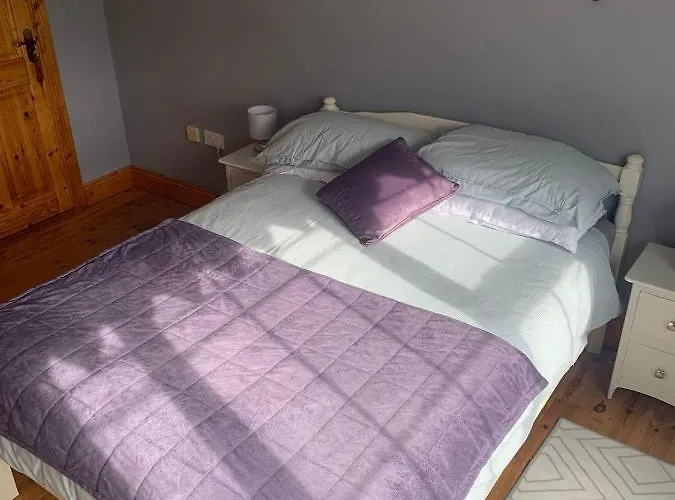 Garrenmore 住宿加早餐酒店 蒂珀雷里